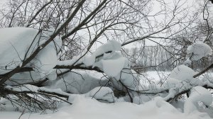Зимняя рыбалка на донки и поставушки. Жареная картошка с тушёнкой и горячий чай.