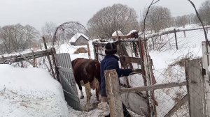 идем на зимнюю прогулку