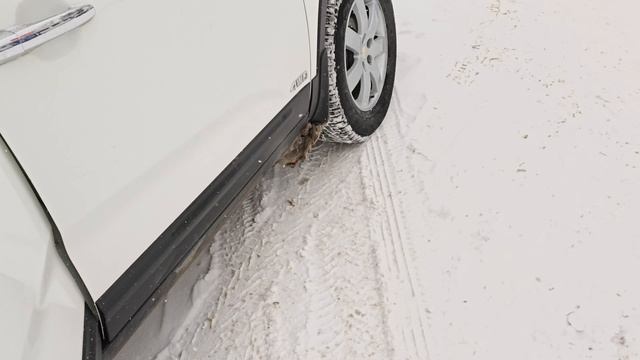 Киа Соренто в идеале смотреть онлайн