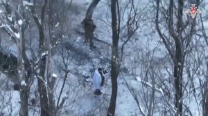 Освобожение Нескучного в Харьковской области