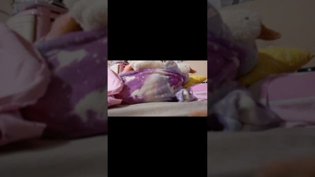 Посмотрите пожалуйста вечер! смотреть онлайн