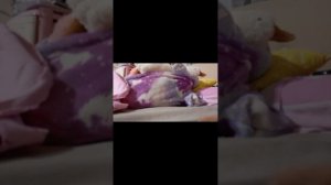 Посмотрите пожалуйста вечер!