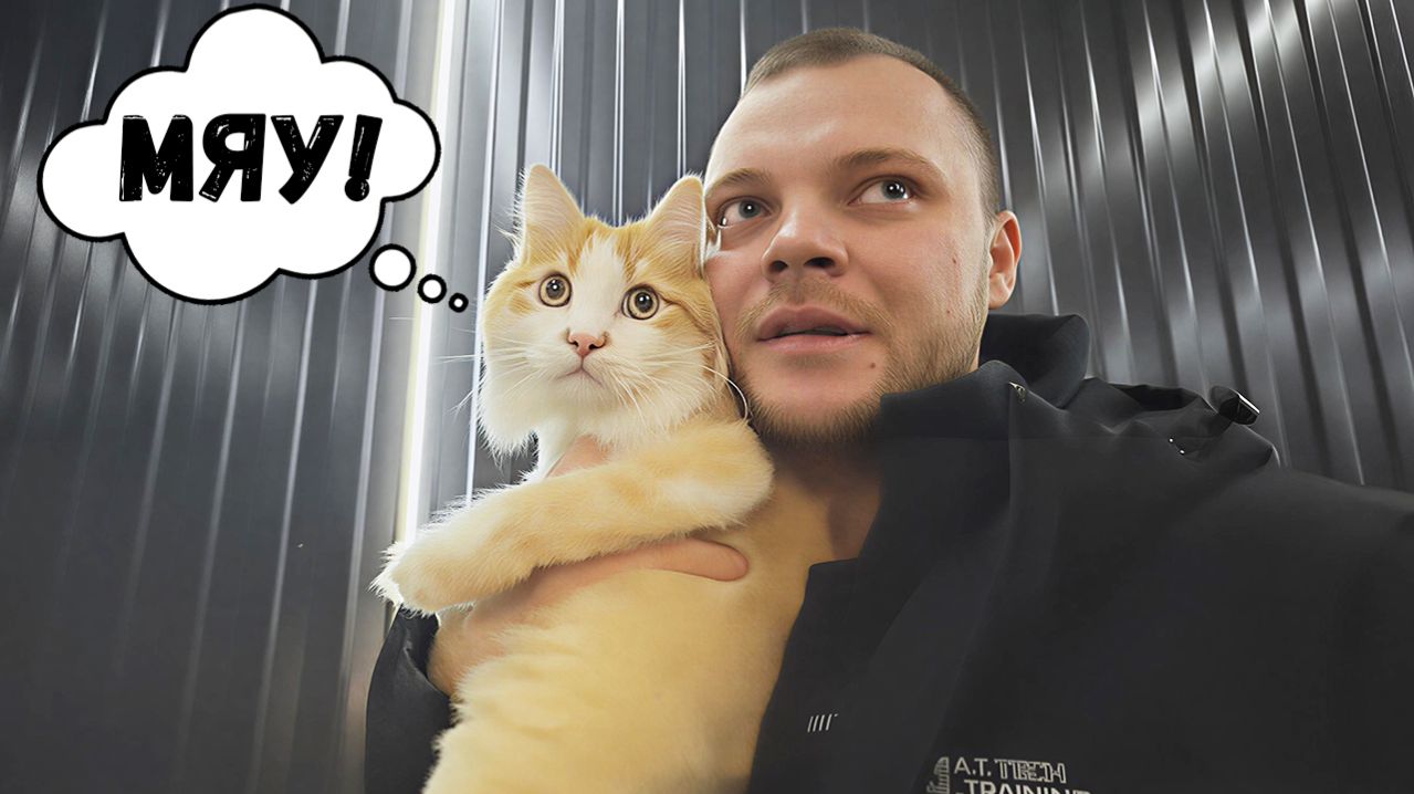 ЮРА ВОЛКОВ ЛОВИТ КОТА И МОЕТ ЕМУ ЛАПЫ