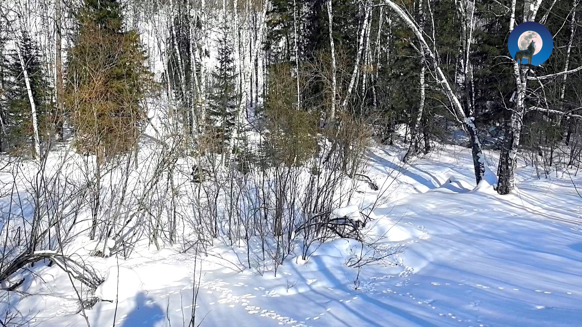 ЗАКРЫТИЕ ЗИМНЕГО СЕЗОНА 2025 смотреть онлайн