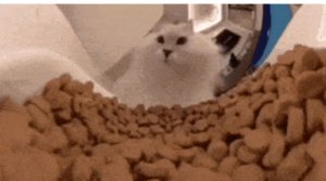 отвечаю на вопросы