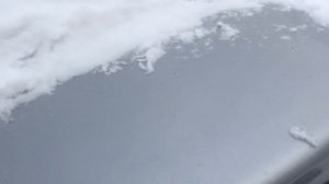 Мопеды сериал | Серия 1854