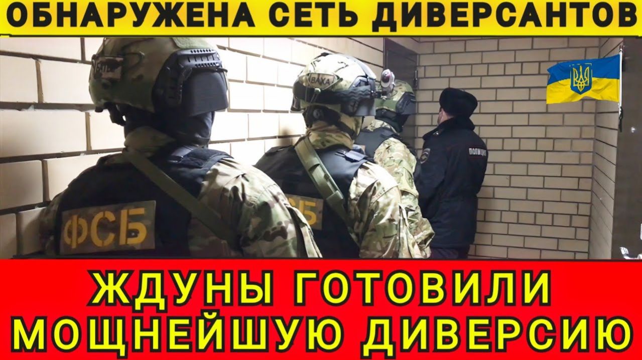 Обнаружена сеть диверсантов. Ждуны готовили мощнейшую диверсию. Аня Колобок смотреть онлайн