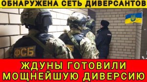 Обнаружена сеть диверсантов. Ждуны готовили мощнейшую диверсию. Аня Колобок