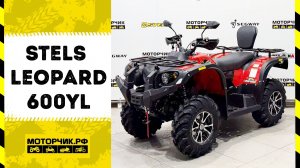Квадроцикл Stels ATV 600YL Leopard