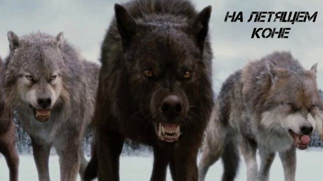 Вадим Казаченко - На Летящем Коне