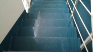 Наливные Полы в подъезде