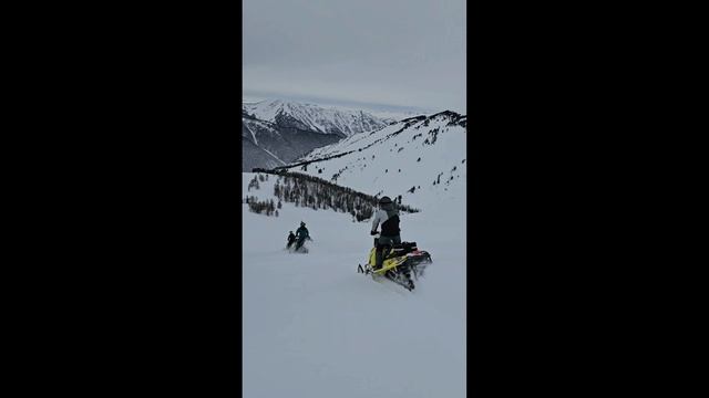 МИНИ-ВЛОГ. Снежный форсаж: Алтайский движ🏔️