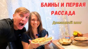 ПЕРВАЯ РАССАДА/ Печем блины с начинками/ Ремонт микроволновки от Дениса/ Домашний влог
