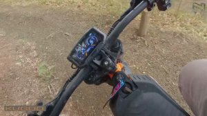 Покатушки, лес, KUGOO WISH 04.