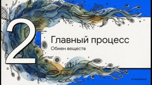 Биология 5 класс параграф 11 ЖИЗНЕДЕЯТЕЛЬНОСТЬ ОРГАНИЗМОВ краткий пересказ