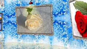 Розы на Снегу в Ледяной Галерее 1 от Киностудии Мудрого Кота Тимофея!