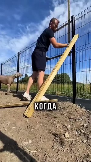 Бюджетный забор