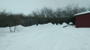 Готоаимся к выставке пчёл.