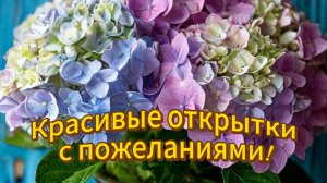 Доброе утро - Красивые открытки с пожеланиями! ✨ Подарите настроение!