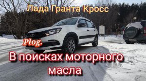 Морозы не отпускают ❗ Ищу моторное масло на замену для Лада Гранта Кросс