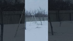 Обрезка сада 2026 год