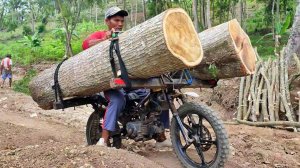 Брёвна по 500 кг они перевозят на мотоциклах. Невероятно!