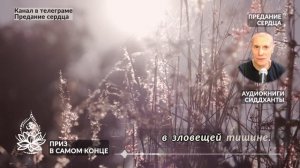 Приз в самом конце. Аудиокниги Сиддханты (Вячеслава Чернина)