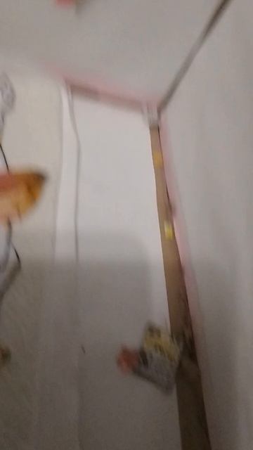 Разбор домика