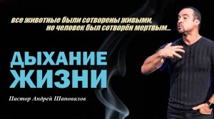Все животные были сотворены живыми, но человек был сотворён мертвым.Дыхание жизни