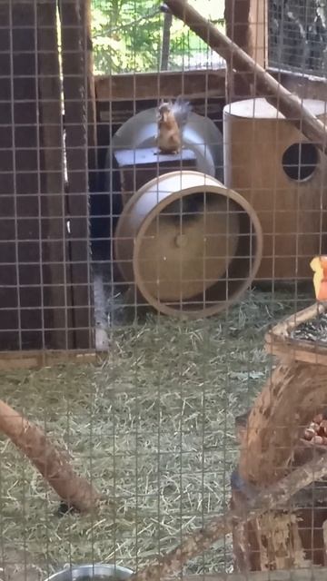 Акробатические трюки