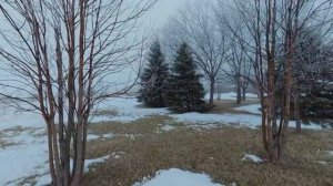 Learn These Gloomy English Words for a Dreary Day