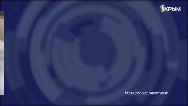 Клуб Шико. Выпуск от 28.02.26