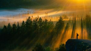 ✧ Спокойная эмбиент музыка и звуки природы для учебы, работы, сна и расслабления | Nature Ambient