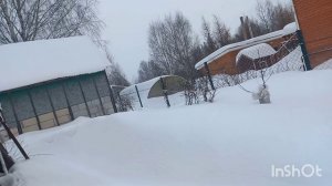 25 февраля 2026 года. Обзор рассады. Белое покрывало))) Синдром рассеянного внимания😜