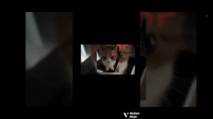 Музыка для души 😁