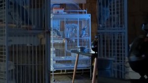 ПРИВЕТУЛИ ...😃😄🤪