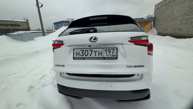 LEXUS NX300h