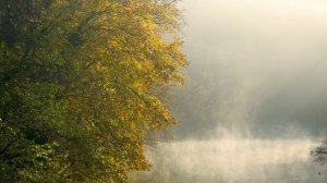 Что значит тишина