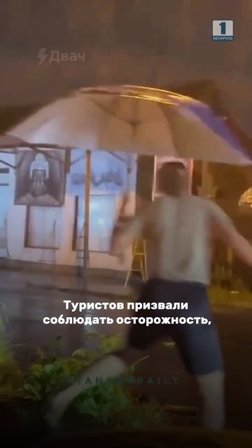 Бали превратился в змеиный остров😱 #бали #змеи #дождь #новости  #обсудим