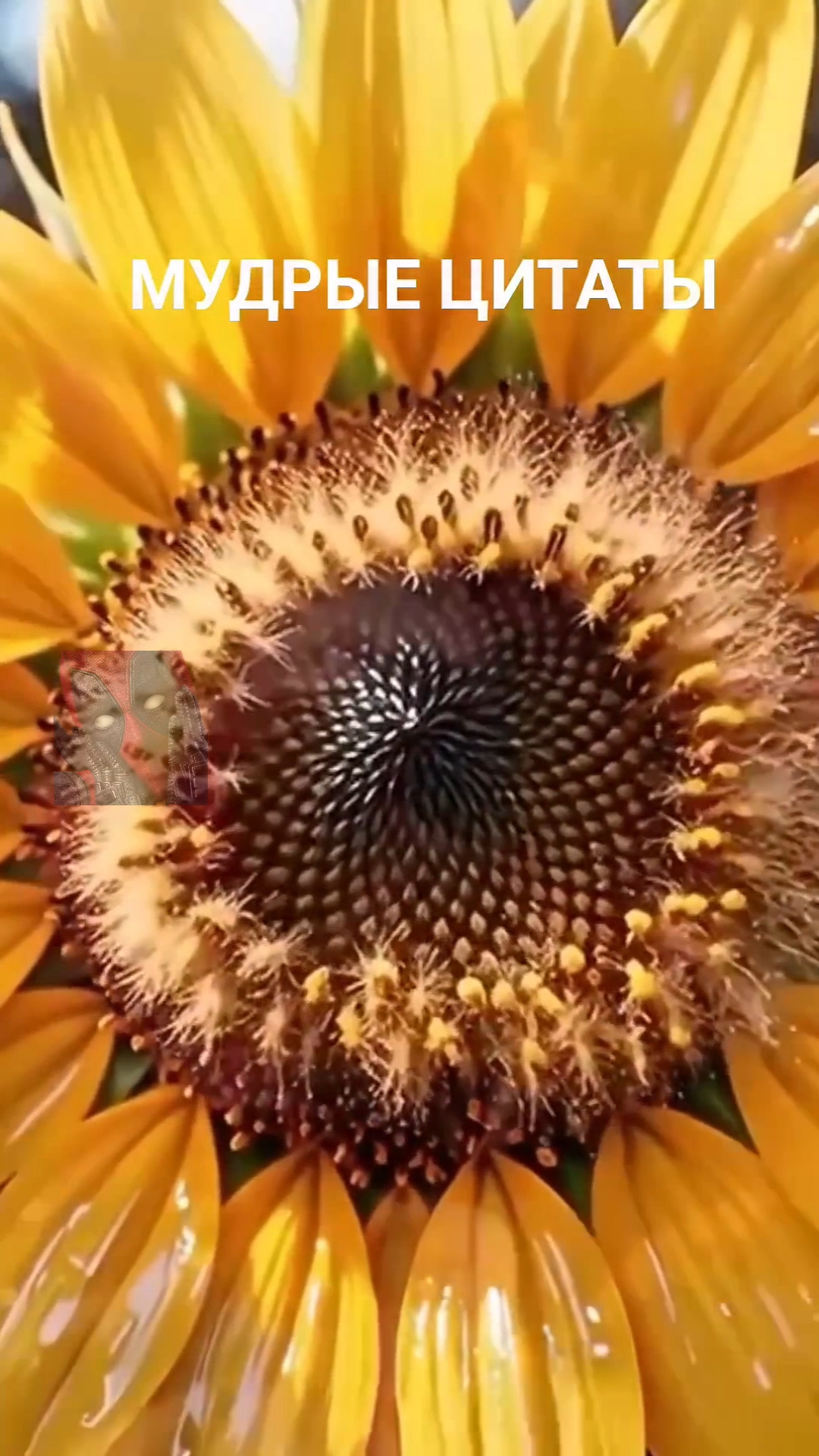 Ожидание Мучительно 😼🫶🤗