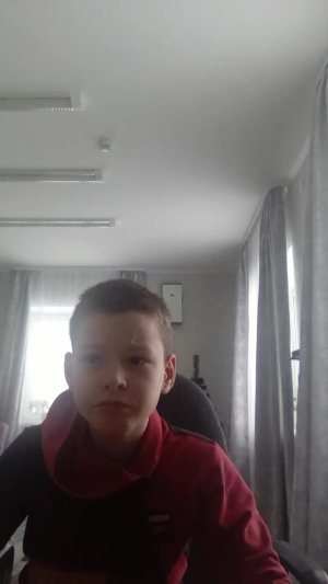 стрим маинкравт