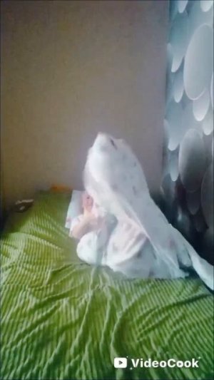 пов когда ложишься спать: #юмор# #АринаWe# #видеоCook# #жиза#