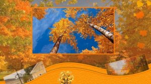 Мой родной город