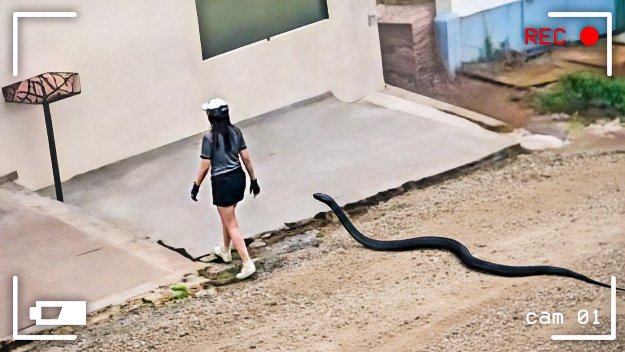 За Секунду До! Эти Случаи Удалось Снять на Камеру