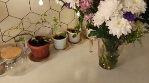 Уборка #570 генеральное окно)