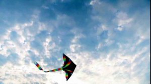 Кавер -версия песни "Полёт мечты" ......