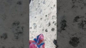 Я иду в магазин