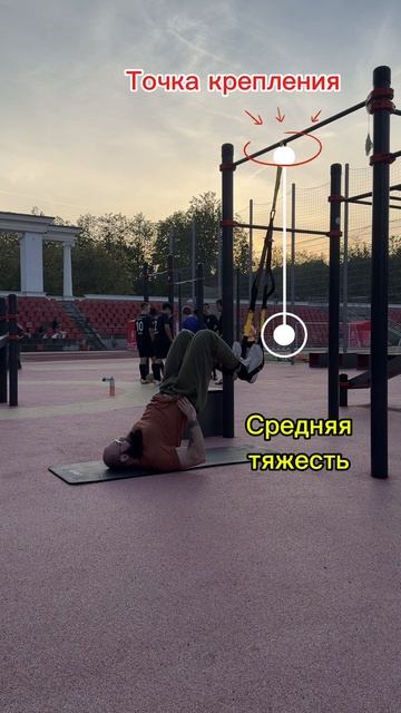 Сгибание голени TRX