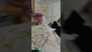 вы просили я сделала 
 видео про 3д игрушки 💕