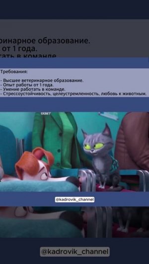 Ветеринар ( мультфильмы без правил )